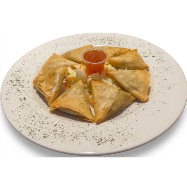Chicken Samosa